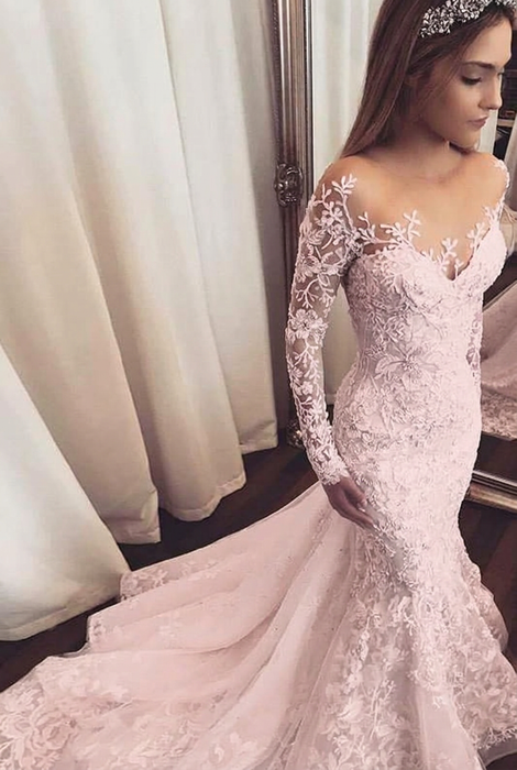 Pink Gorgeous Mermaid Illusion Long Sleeves Tulle Appliques Beach Wedding Dress