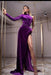 Amazing Purple One-Shoulder Long Sleeve Mermaid Prom Dress with Slit