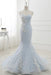 Awesome Fascinating Modest Baby Blue Sweep Train Lace Mermaid Evening Dresses Formal Dress With Applique - Prom Dresses