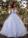 Ball Gown Tulle Applique Off-the-Shoulder Sleeveless Sweep/Brush Train Dresses - Prom Dresses