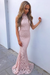 Blushing Pink Mermaid High Neck Sweep Train Sleeveless Lace Prom Sexy Evening Dress - Prom Dresses