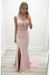 Blushing Pink Sheath/Column Scoop Sleeveless Applique Chiffon Dresses - Prom Dresses