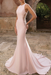 Blushing Pink Simple Wedding Dress Spandex Jewel Neck Sleeveless Lace Mermaid Bridal Dresses