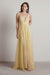 Burgundy Evening Dress A-Line V-Neck Pleated Chiffon Tulle Maxi Formal Dinner Dresses - Prom Dress