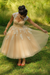 Champagne Chic Sweetheart Short Ball Gown Wedding Dresses Aline Tulle