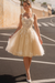 Champagne Beautiful Sleeveless Tulle Aline Wedding Dress Short with Lace Appliques
