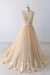 Champagne Elegant V-neck Lace Tulle A-line Wedding Dress
