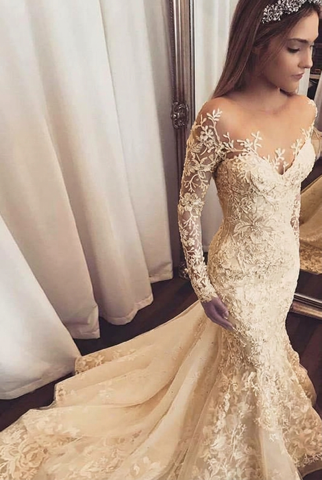 Champagne Gorgeous Mermaid Illusion Long Sleeves Tulle Appliques Beach Wedding Dress
