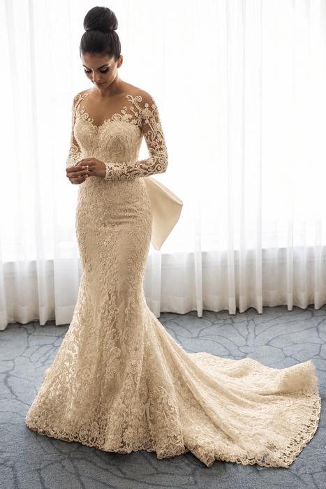 Champagne Long Sleeves Lace Mermaid Wedding Dresses - wedding dresses