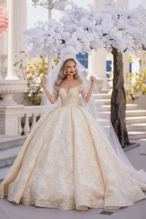 Champagne Gorgeous Tulle Aline Wedding Dress Off-the-Shoulder with Long Sleeves