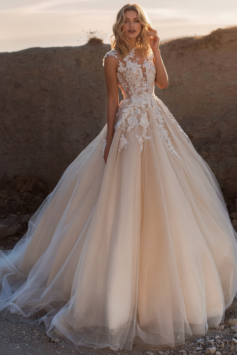 Champagne wedding dresses princess jewel neck sleeveless lace tulle bridal gowns