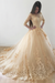 Champagne Puffy Half Sleeves Long Vintage Tulle Bateau Appliques Wedding Dress - Wedding Dresses