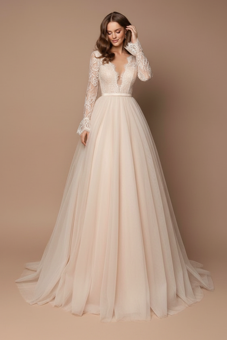 Black Wedding Dress A-Line Tulle Lace Bridal Gowns-Bridelily Black Wedding Dress A-Line Tulle Lace Bridal Gowns-Bridelily