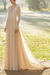 Champagne Wedding Dresses With Court Train A Line Long Sleeves Lace V Neck Bridal Gowns