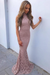 Dusty Pink Mermaid High Neck Sweep Train Sleeveless Lace Prom Sexy Evening Dress - Prom Dresses