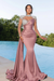 Dusty Rose Long Mermaid Prom Dress with Trail Beadings and Long Sleeves