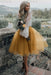 Gold Simple Wedding Dress A Line Designed Neckline Lace Tulle Bridal Gowns