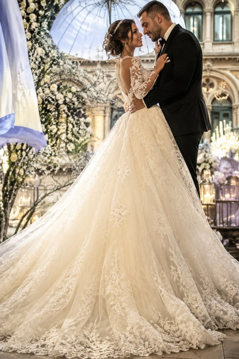 Gorgeous Ivory V-Neck Long Sleeves Appliques Watteau Train Wedding Dress