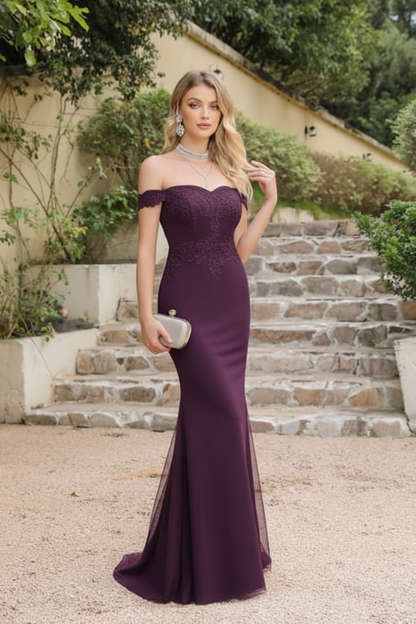 Grape Charming Off-the-Shoulder Tulle Lace Appliques Mermaid Evening Gowns