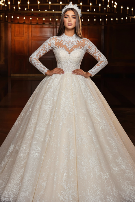 Ivory Lace Beaded Long Sleeves A-Line Floor-Length Wedding Dress