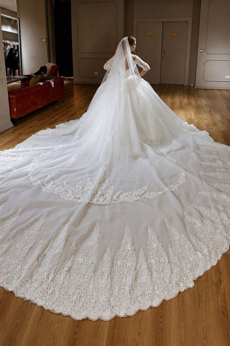 Gorgeous V-Neck Lace Aline Princess Wedding Dress with Half Sleeves