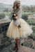 Light Yellow Simple Wedding Dress A Line Designed Neckline Lace Tulle Bridal Gowns