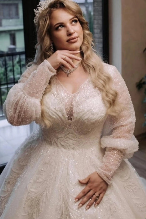 Luxurious Plus Size Tulle Aline Wedding Dress Lace Appliques Bridal Dress - Wedding Dresses