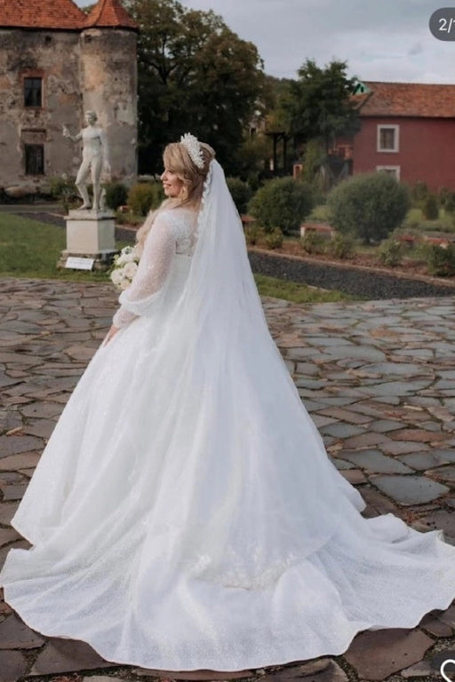 Luxurious Plus Size Tulle Aline Wedding Dress Lace Appliques Bridal Dress - Wedding Dresses