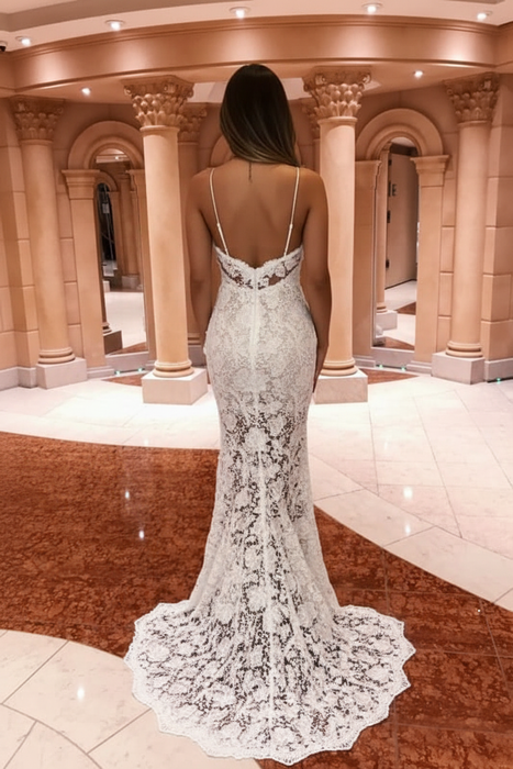 Mermaid Spaghetti Straps Long Prom Dress Lace Evening Dresses - Prom Dresses