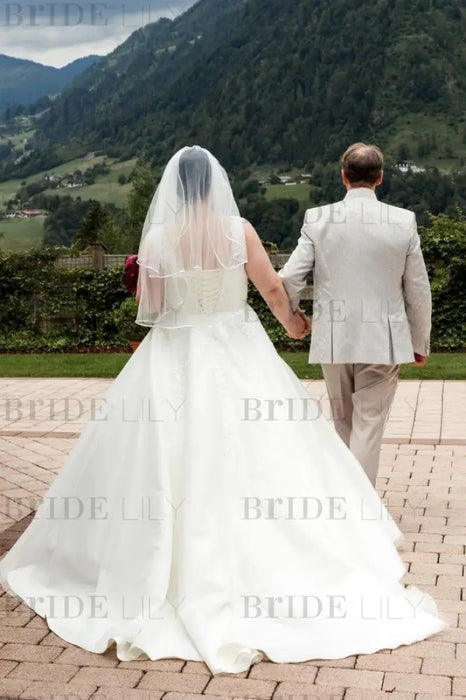 Plus Size Wedding Dress Tulle Lace Aline Bridal Dress V-neck with Appliques - Wedding Dresses