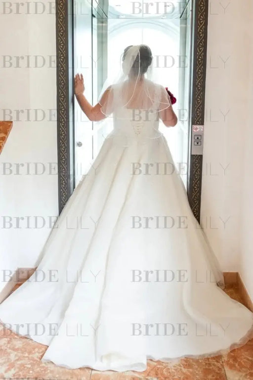 Plus Size Wedding Dress Tulle Lace Aline Bridal Dress V-neck with Appliques - Wedding Dresses