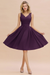 Regency Ruffle Chiffon Short Bridesmaid Dress Sleeveless V-Neck Aline Knee Length Homecoming Dress - Prom Dresses