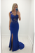 Royal Blue Sheath/Column Scoop Sleeveless Applique Chiffon Dresses - Prom Dresses
