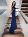 Sheath/Column Spandex Sleeveless Sweep/Brush Train Applique Scoop Dresses - Prom Dresses