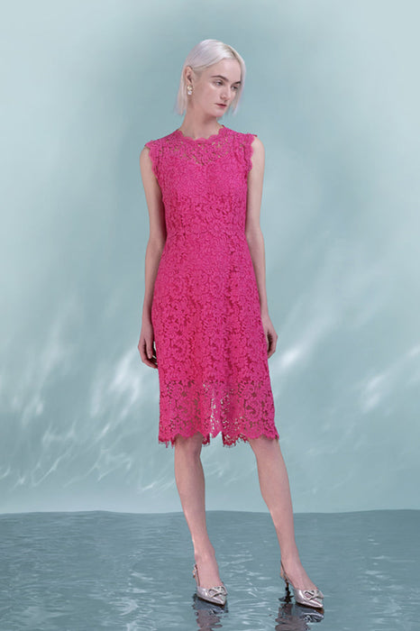 Sleeveless Fuchsia Lace Dress Jewel Neck Short Formal Dress - Dresses