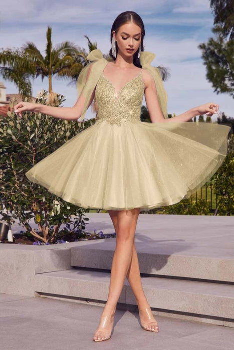 Spaghetti Straps V-neck Short Homecoming Dress Aline Sleeveless Cocktail Dress