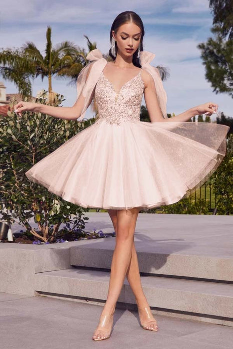 Spaghetti Straps V-neck Short Homecoming Dress Aline Sleeveless Cocktail Dress