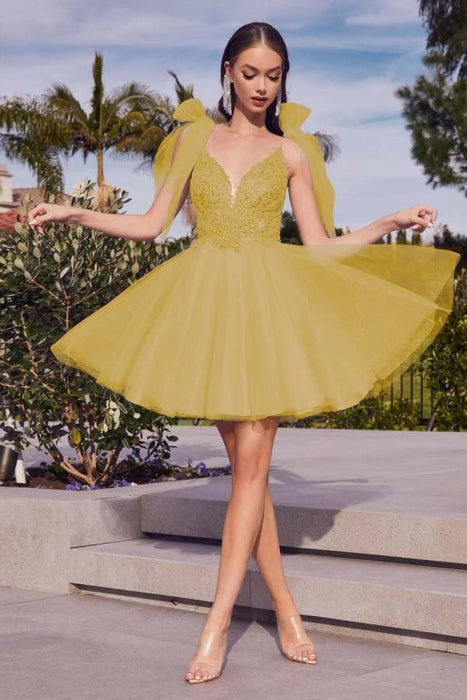 Spaghetti Straps V-neck Short Homecoming Dress Aline Sleeveless Cocktail Dress