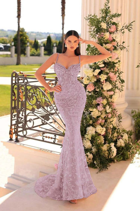 Sweetheart Lace Mermaid Tulle Prom Dress with Beads Appliques - Prom Dresses