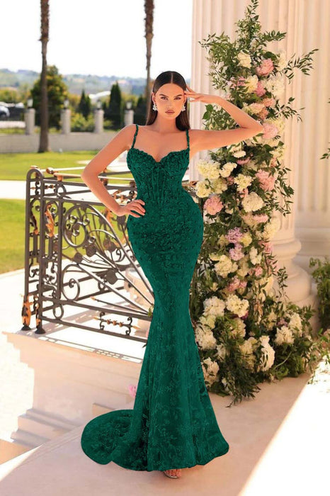 Sweetheart Lace Mermaid Tulle Prom Dress with Beads Appliques - Prom Dresses