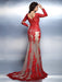 Trumpet/Mermaid V-neck Applique Long Sleeves Long Lace Dresses - Prom Dresses