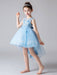 Flower Girl Dresses Jewel Neck Tulle Sleeveless Princess High Low Knee Length Embroidered Kids Social Party Dresses