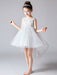 Flower Girl Dresses Jewel Neck Tulle Sleeveless Princess High Low Knee Length Embroidered Kids Social Party Dresses