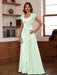 V-Neck A-Line Princess Short Sleeve Dress with Pleats Ruffles & Appliques for Mother of the Bride & Groom