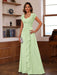 V-Neck A-Line Princess Short Sleeve Dress with Pleats Ruffles & Appliques for Mother of the Bride & Groom