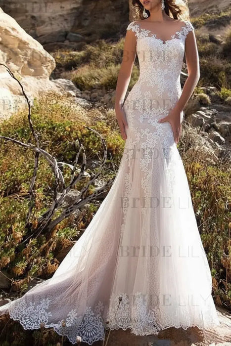 Blush Pink Wedding Dress V Neck Mermaid sleeveless Lace 