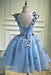 A Line Sky Blue V Neck Sleeveless Junior Homecoming Dress with Butterfly Flowers - Prom Dresses