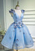 A Line Sky Blue V Neck Sleeveless Junior Homecoming Dress with Butterfly Flowers - Prom Dresses