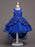 Flower Girl Dresses Baby Blue Lace Tulle Princess Tutu Embroidered Kids Ball Gown Dress
