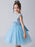 Baby Blue Flower Girl Dresses Jewel Neck Sleeveless Bows Tulle Polyester Kids Party Dresses